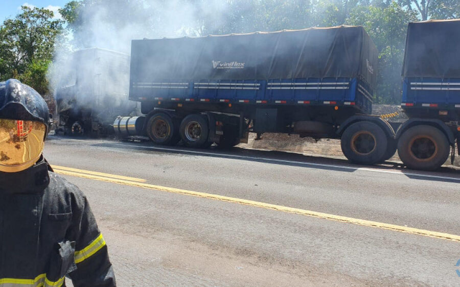 Cavalo de carreta é consumido por fogo na BR-163, entre Rio Verde e Coxim