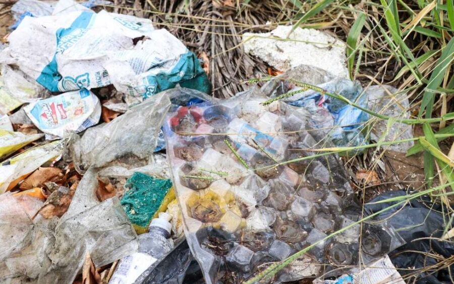 MS registra sete mortes em apenas três meses e suspeitas de dengue disparam