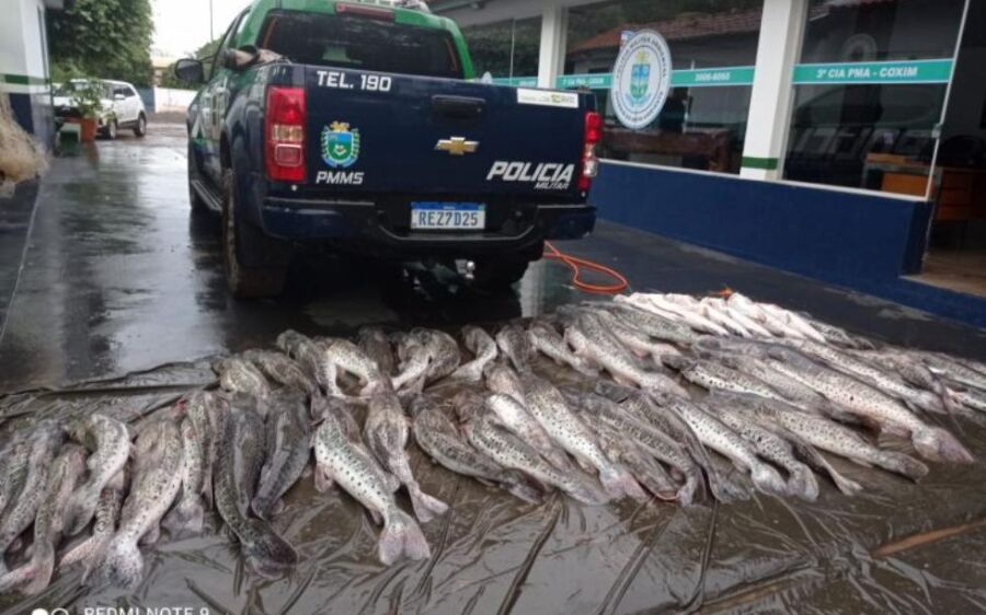 PMA prende oito por crimes ambientais e apreende 360 quilos de pescado durante Operação Semana Santa