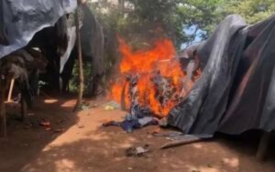Polícia desfaz acampamento que produziu 12 toneladas de maconha