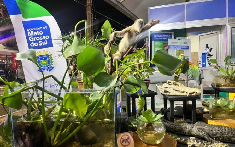 Bioparque participa da Expogrande 2023