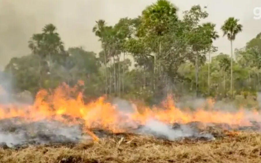 Campanha de prevenção e combate a incêndios vai capacitar profissionais em MS
