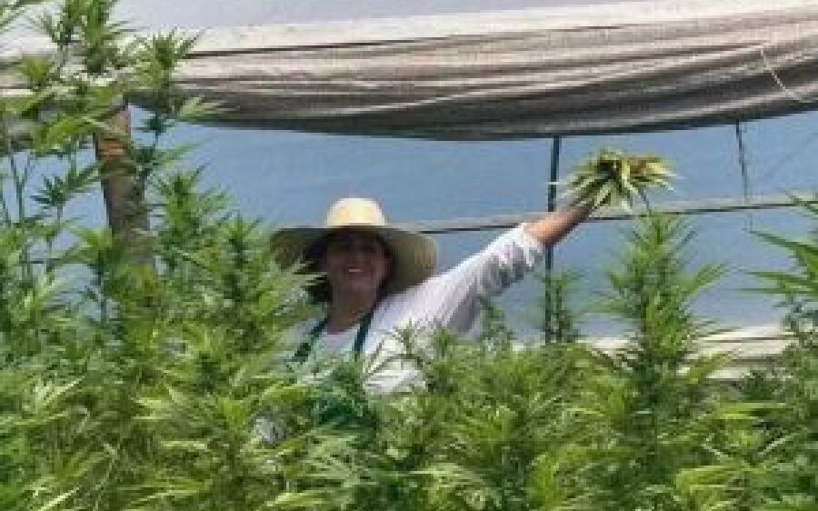 Após muita luta, Jéssica agora pode cultivar maconha medicinal em casa