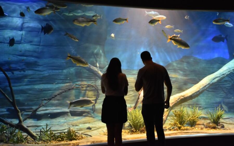 Solidariedade: doação de agasalho garante entrada no Bioparque Pantanal no sábado