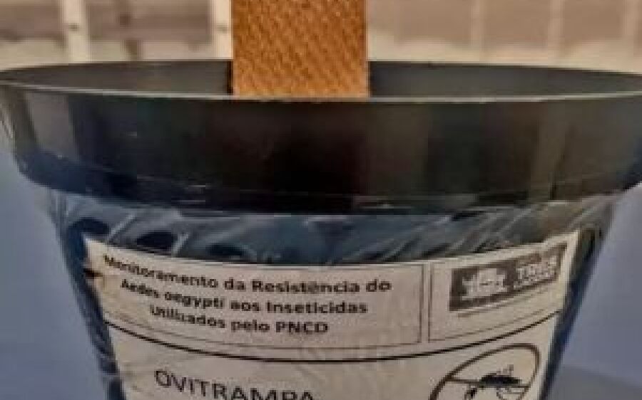 Ministério da Saúde define Coxim e São Gabriel do Oeste na região norte e mais 10 cidades de MS 