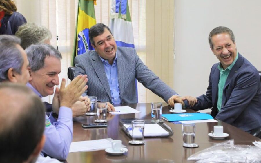 Setor de Suinocultura vai investir quase R$ 1 bilhão no Estado