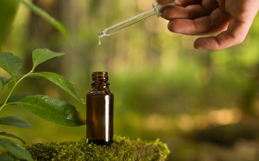 AAVC está com inscrições abertas cursos de Preparação de Remédio Natural