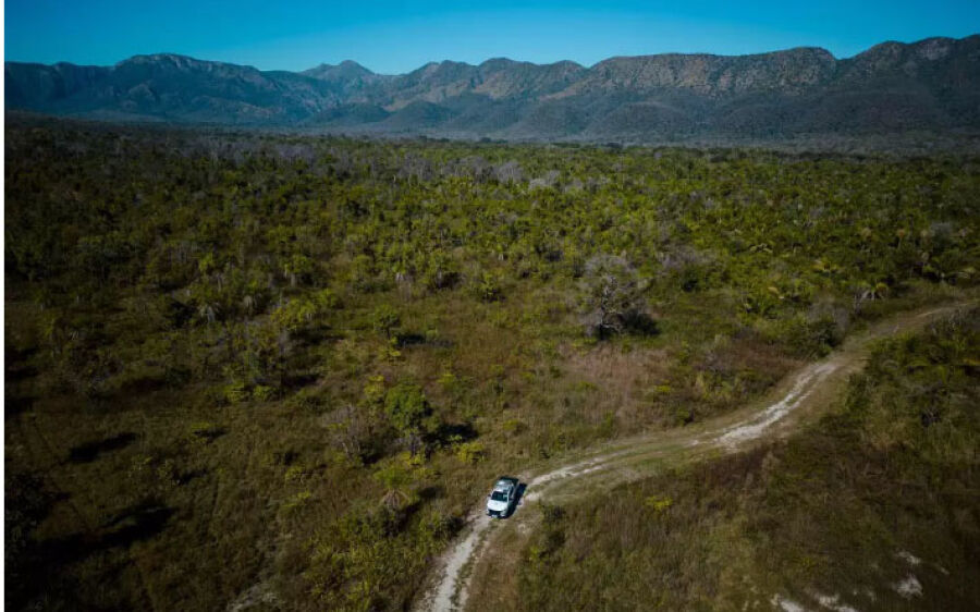 Pantanal de MS terá primeira certificação para venda de crédito de carbono  