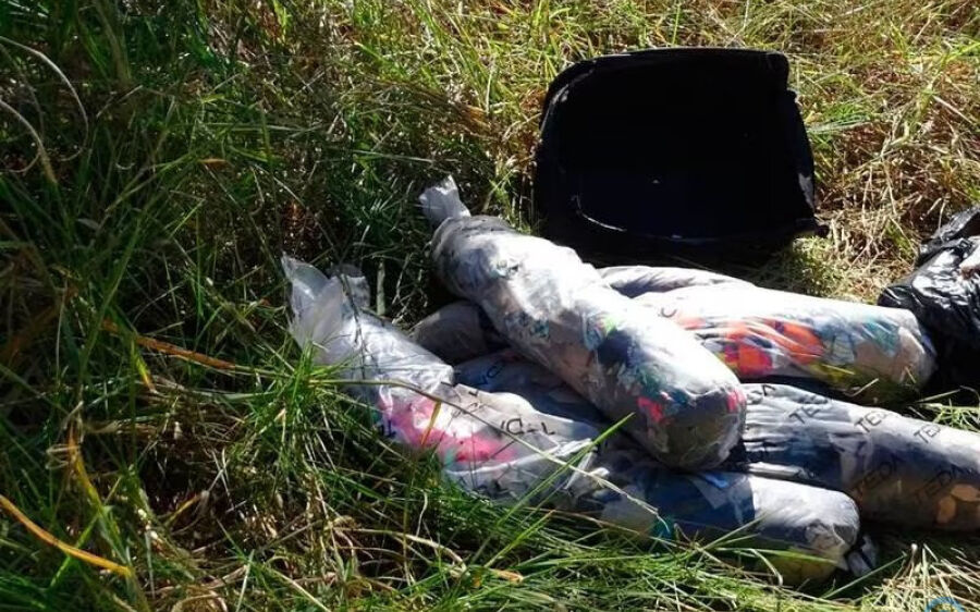 Cansada de cuidar do marido com AVC, idosa dá veneno de rato e joga corpo em rodovia