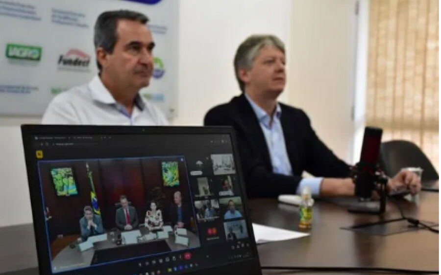 MS vai criar sistema de alerta e monitoramento da gripe aviária