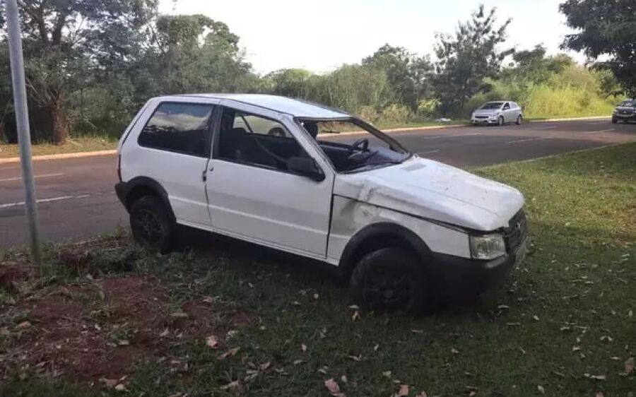 Motorista capota veículo ao desviar de capivara em avenida na Capital