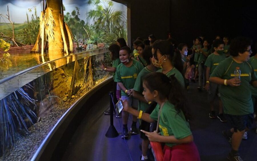 No Dia Mundial do Meio Ambiente, Bioparque destaca ações de educação ambiental e conservação de espé