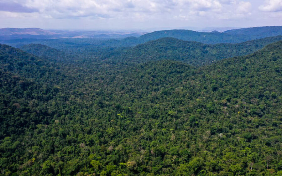 Desmatamento na Amazônia cai 31% de janeiro a maio