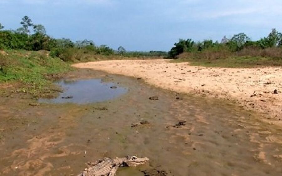 Entre os rios mais assoreados  do país, Taquari vai ter 1,3 mil  hectares reflorestados