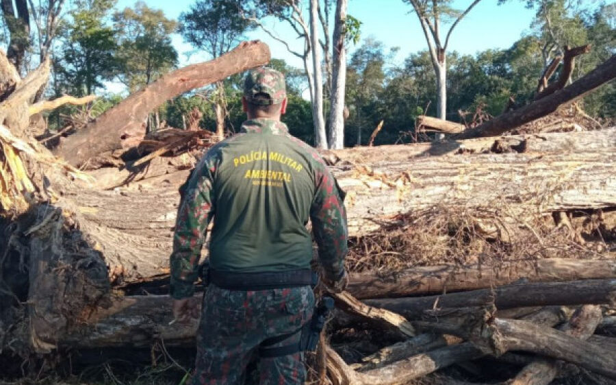 PMA de Porto Murtinho autua homem por exploração ilegal de vegetação nativa