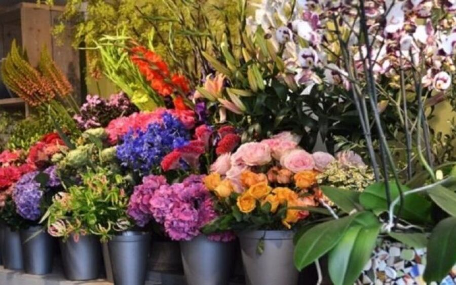 De flores a rodízio de pizzas, pesquisa do Procon/MS indica variação de preços no Dia dos Namorados