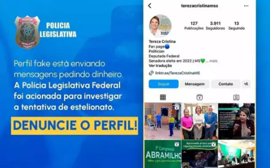 Perfil fake da senadora Tereza Cristina está pedindo dinheiro pela internet