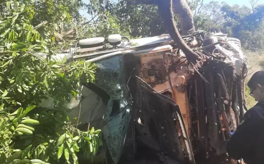 Carreta fica destruída ao capotar em área de vegetação às margens da BR-262