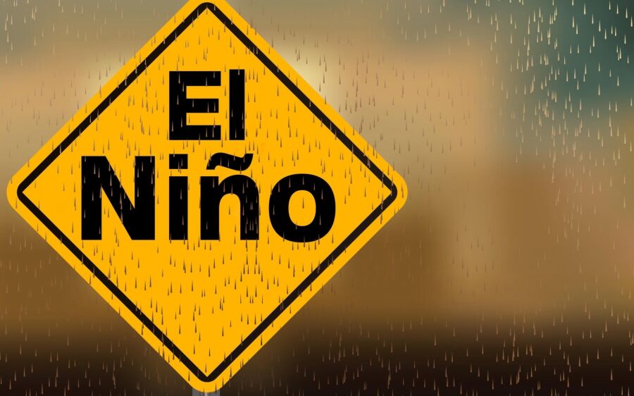 OMS se prepara para disseminação de  doenças  virais associadas ao El Niño