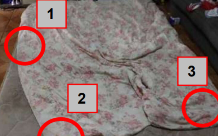 Perita do caso Nardoni fez análise de laudo sobre morte de Sophia em Campo Grande
