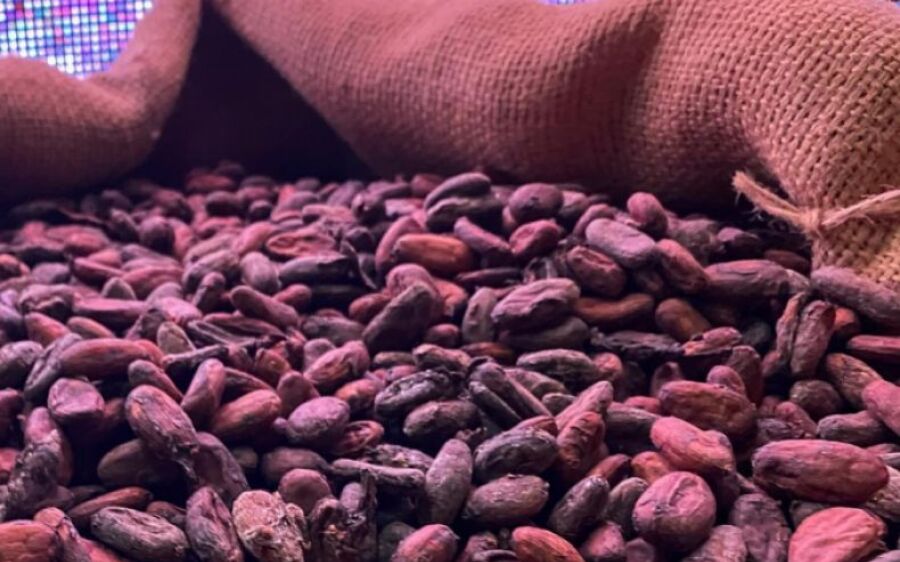 Tijolo feito com bagaço do açaí é novidade apresentada em evento de sustentabilidade