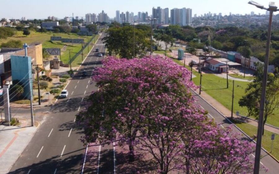 Terça-feira de tempo seco e quente com pouca possibilidade de chuva em todo o Estado