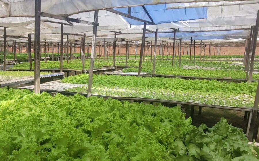 Prefeitura de Coxim e Sebrae oferecem assistência técnica aos produtores rurais