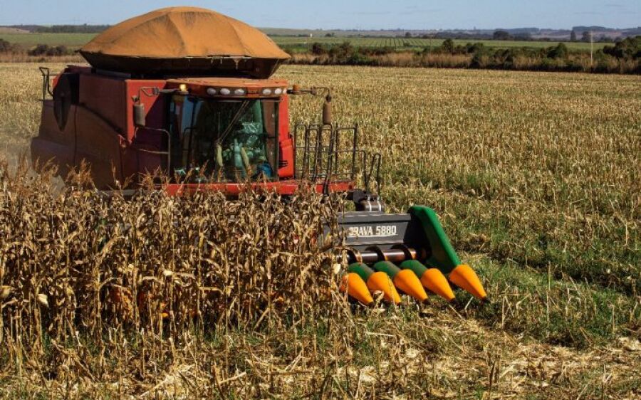 Com forte reação do agro, MS gerou 3 mil empregos em junho e tem estoque de trabalho recorde