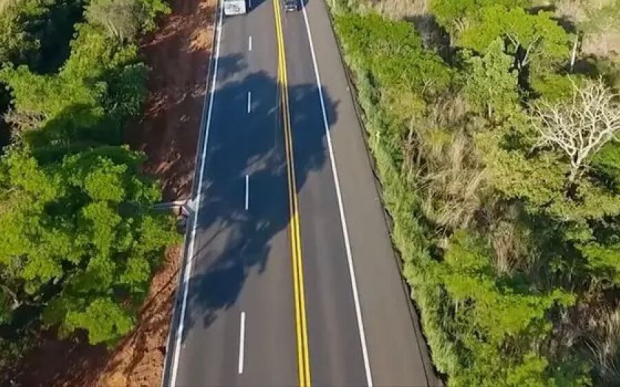 Para evitar mortes de bicho e gente, árvores serão derrubadas na BR-262