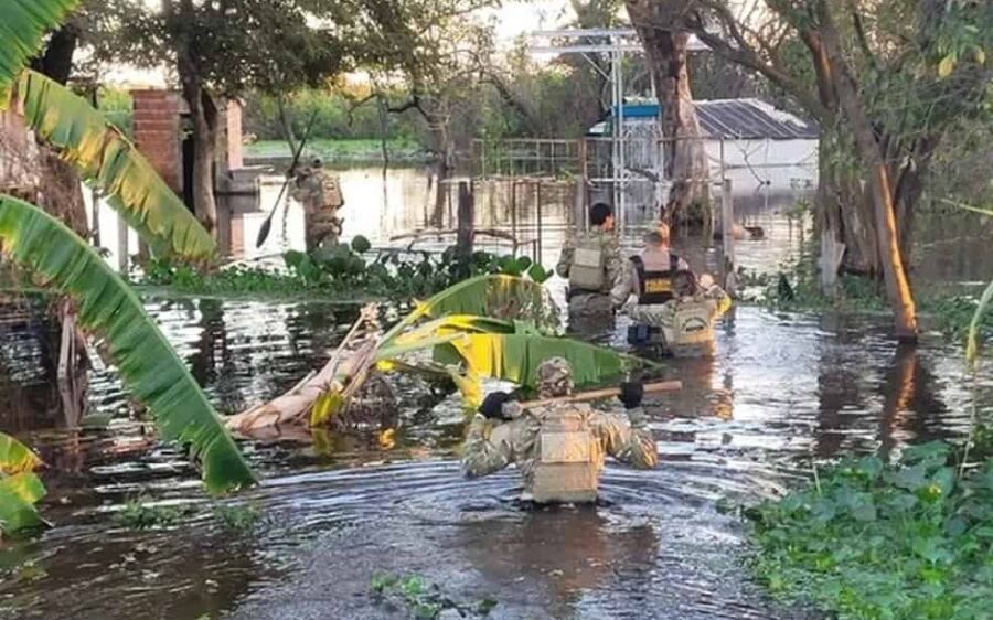 PF combate a caça ilegal de onça-pintada no Pantanal após animal ser encontrado sem cabeça