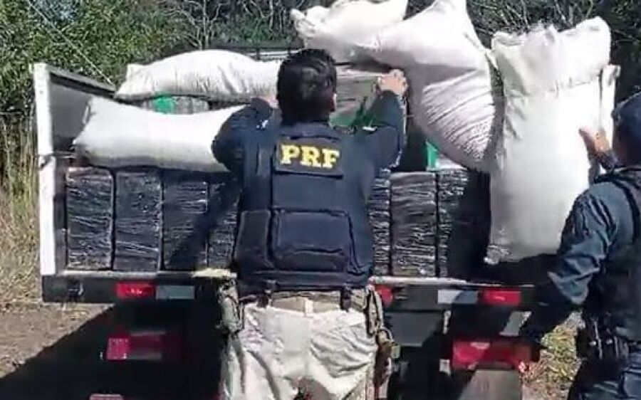 Policiais apreendem 3,6 toneladas de maconha na BR-267, em Caracol