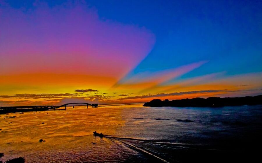 Lei do Pantanal é aguardada com expectativa e será elaborada com participação social