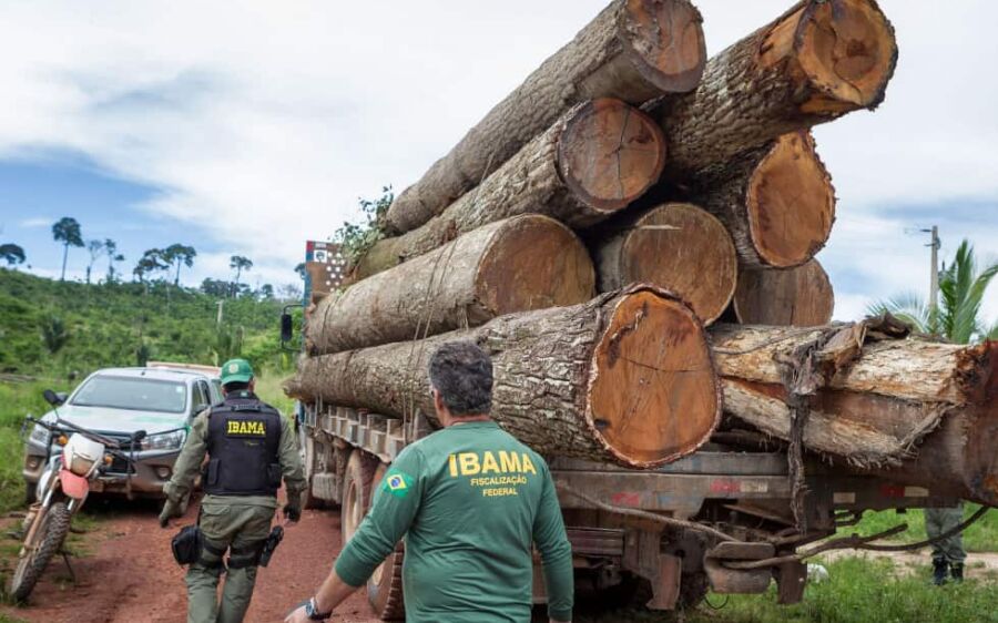 Governo autoriza contratação de 257 servidores para o Ibama