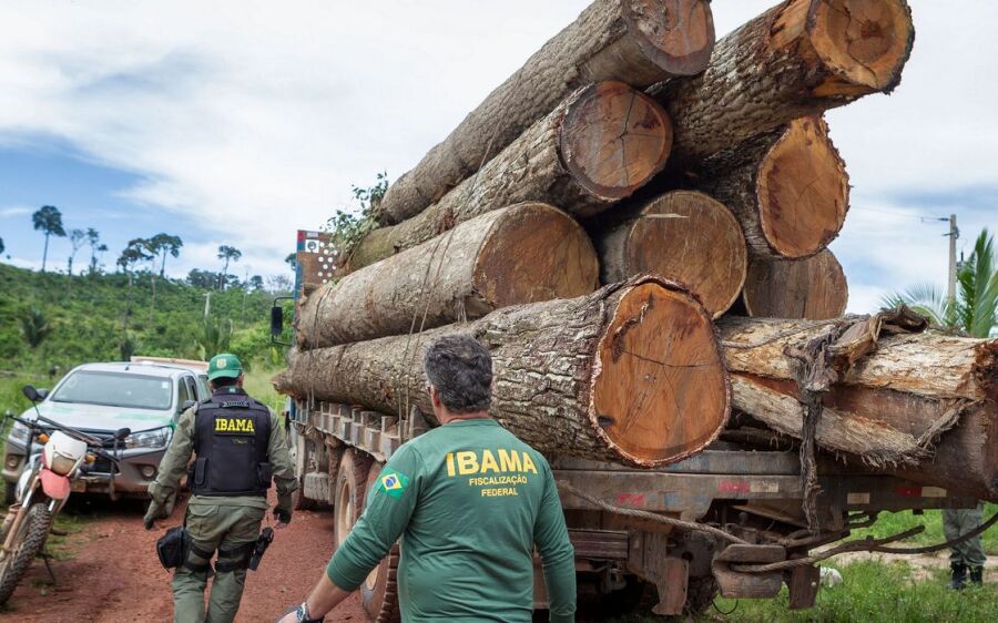 Governo autoriza contratação de 257 servidores para o Ibama