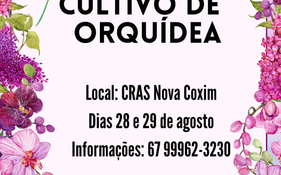 Curso gratuito de cultivo de orquídeas será realizado em Coxim