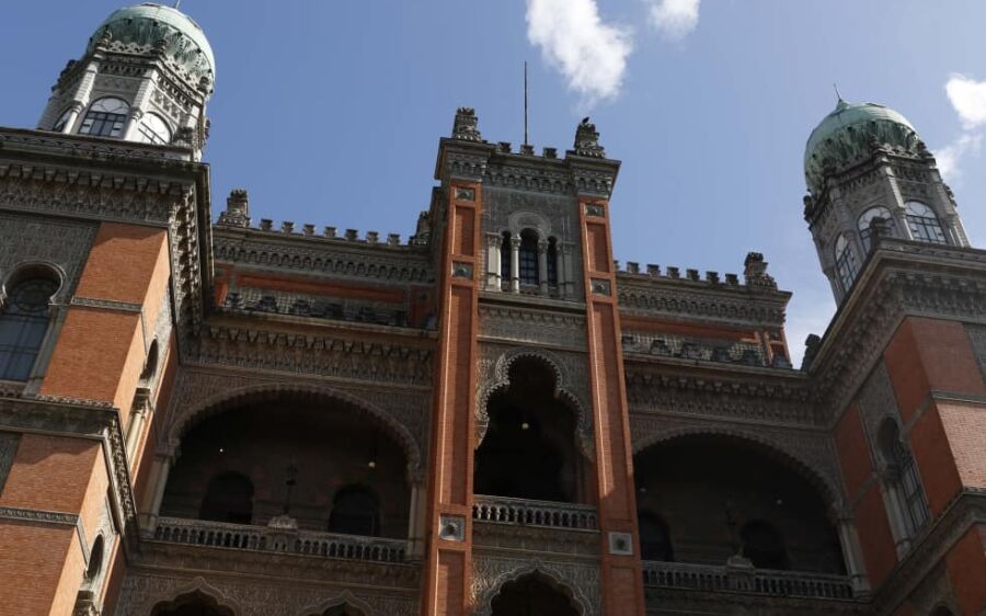 Casos de rinovírus  continuam em alta entre crianças, diz Fiocruz