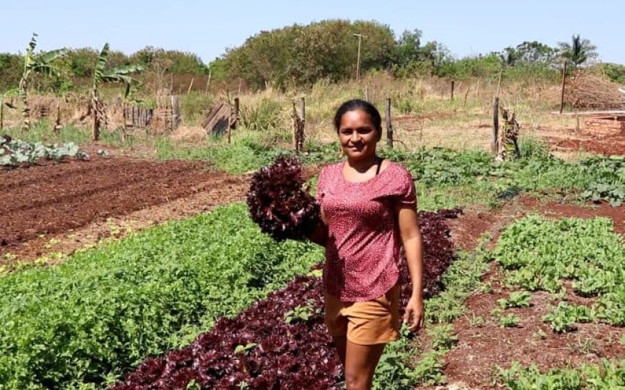 Dia do feirante: com apoio da Agraer horticultora comercializa produtos em feira e garante renda