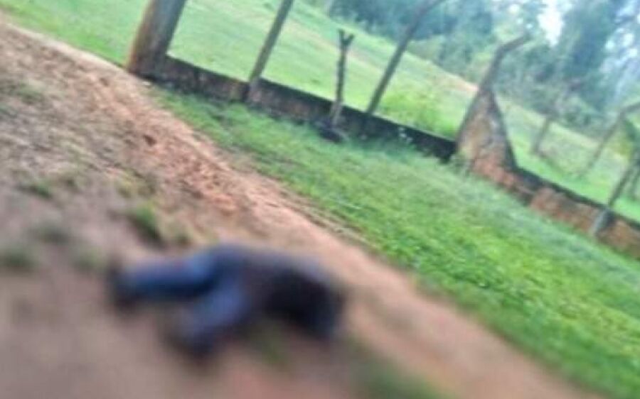 Mecânico é assassinado a facadas por amigo durante bebedeira