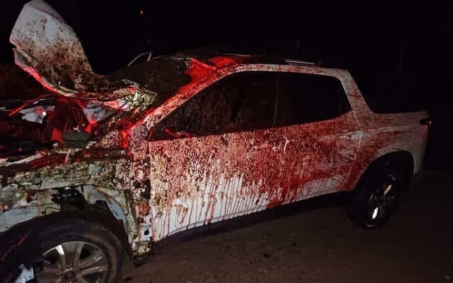 Casal fica ferido após carro colidir com cavalo na BR-376