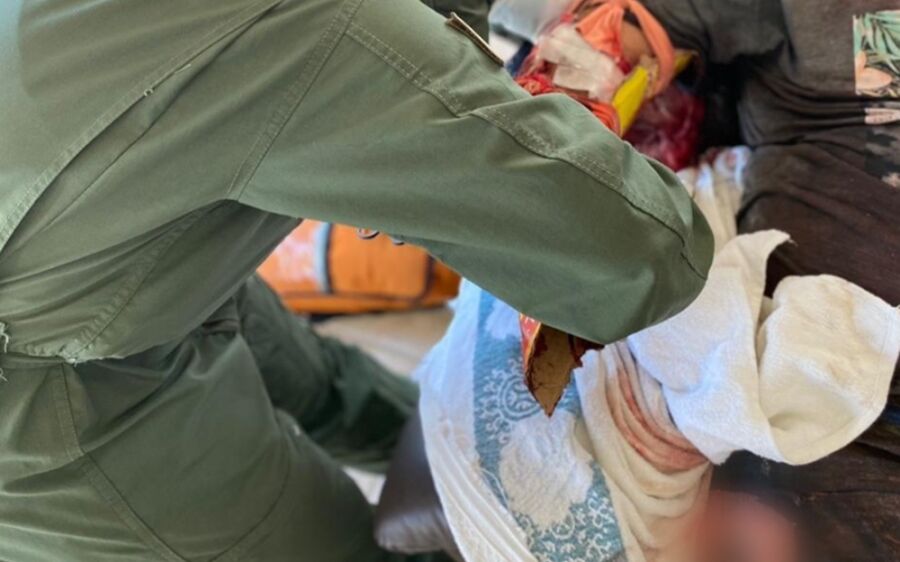 Trabalhador rural é atacado por onça durante manejo de gado no Pantanal