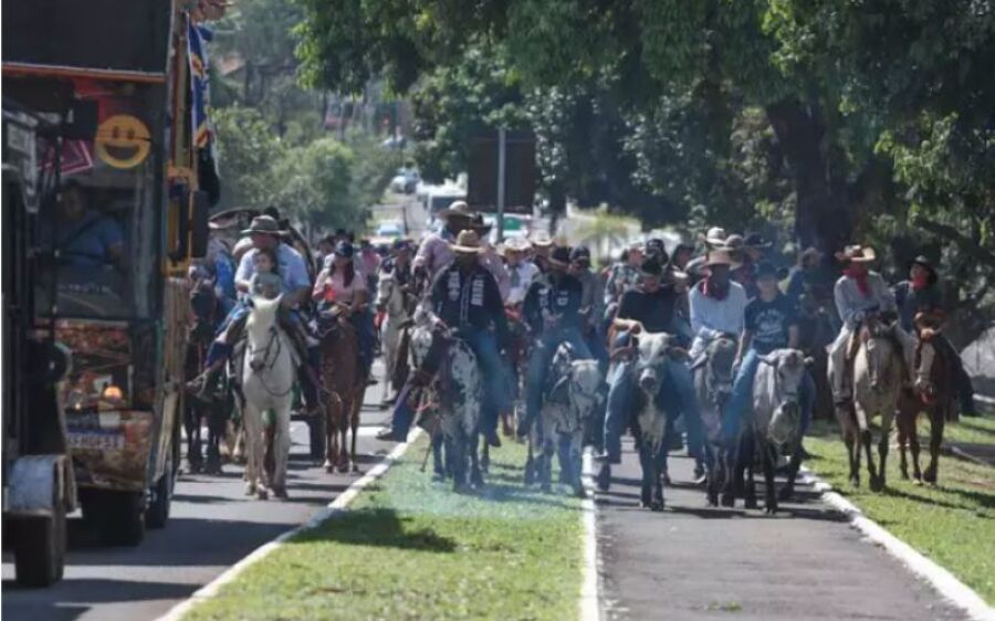 Cavalos e touros chamam atenção na Afonso Pena
