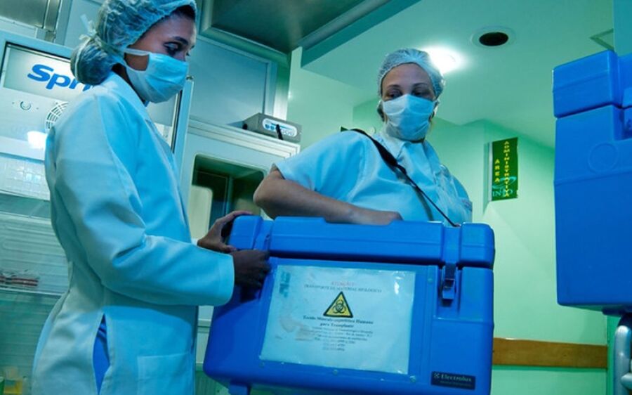 Câmara aprova urgência para projeto que torna todo brasileiro doador de órgãos após a morte