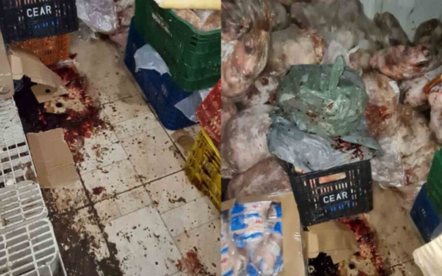 Dona de mercado é presa e 1 tonelada de carne podre é apreendida em Campo Grande