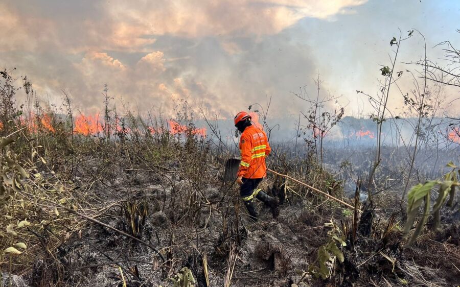 Bombeiros atuam no controle e  extinção de incêndio florestal no Pantanal do Paiaguás