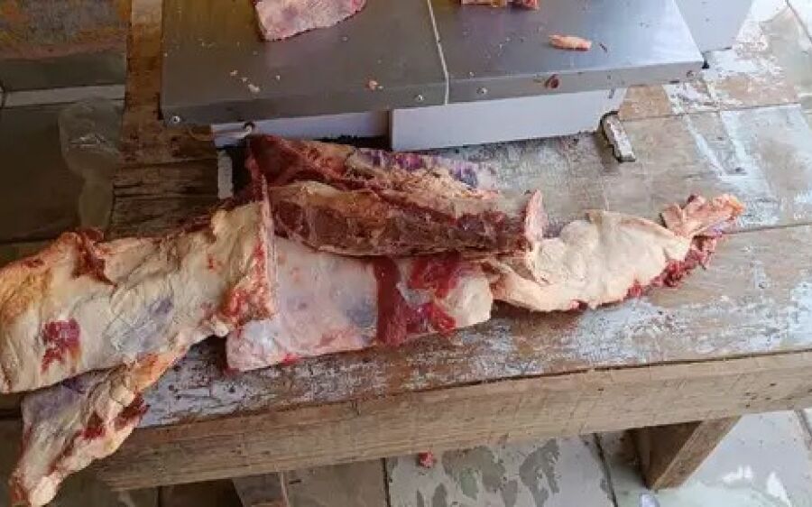Polícia prende criador de suínos e bovinos em abatedor clandestino