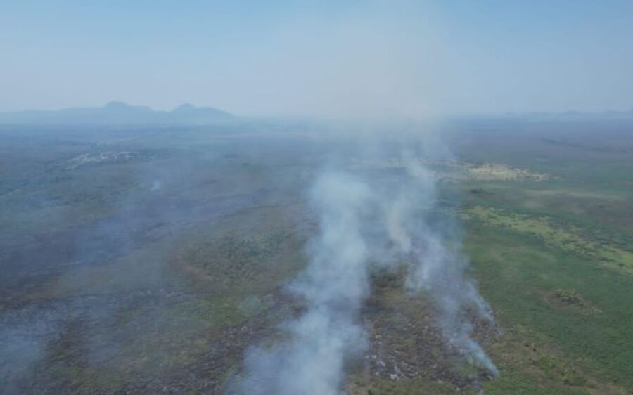 Apoiado pelo Fundect, projeto em MS busca alternativa para evitar incêndios no Pantanal