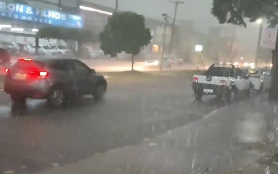 Com ventos de 48 km/h, chuva derruba árvores e deixar comércio alagado em Dourados