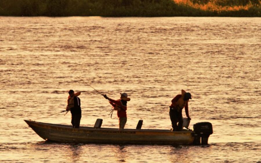 Defeso da Piracema começa dia 5 de novembro em MS e último fim de semana de pesca exige cuidados