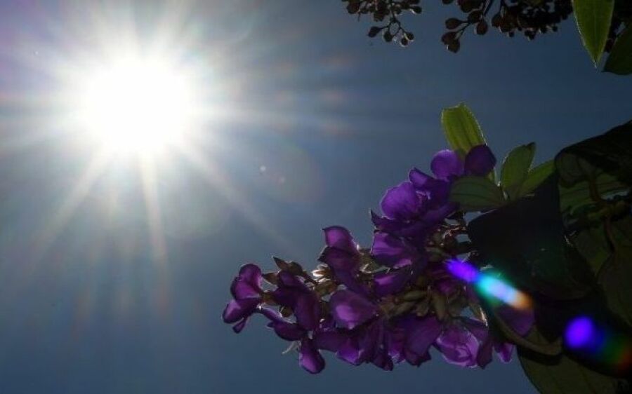 Sábado tem previsão de sol e tempo estável retorna a MS após dias chuvosos