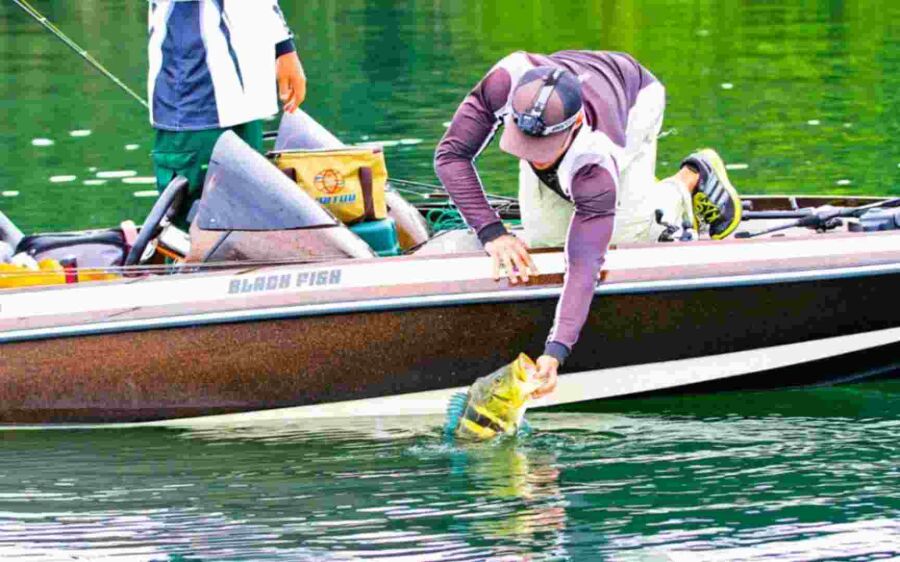 Atenção, pescador: Confira quem pode fisgar peixes durante a piracema em MS